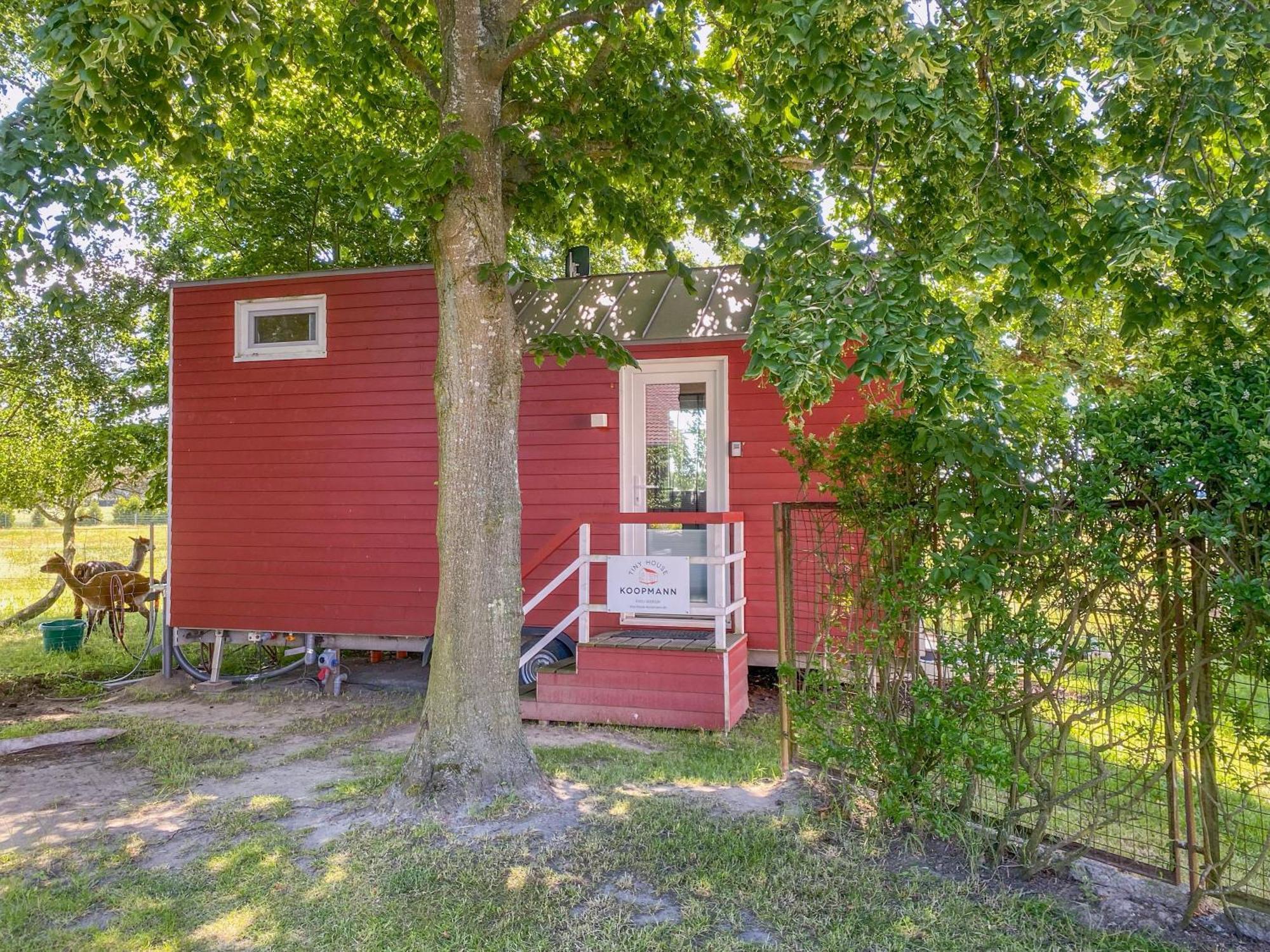 Tiny House Auf Der Alpaka Farm Villa Rubkow Eksteriør billede